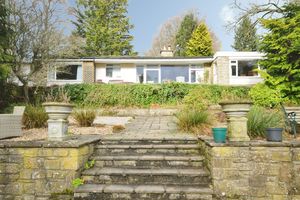 Photo 6- click for photo gallery